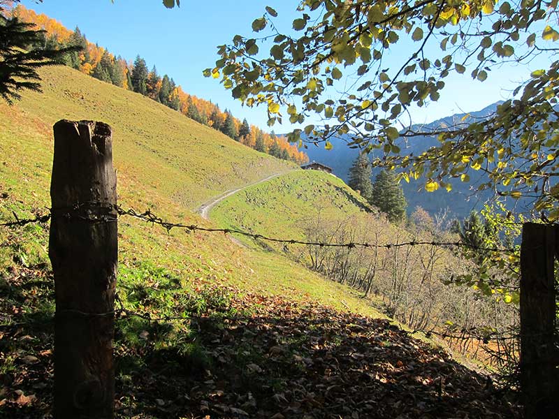 Schwarzwand
